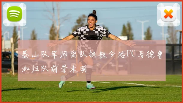 泰山队军师离队执教今治FC马德鲁加归队前景未明