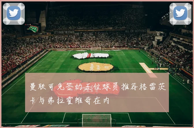 曼联可免签的五位球员推荐格雷茨卡与弗拉霍维奇在内